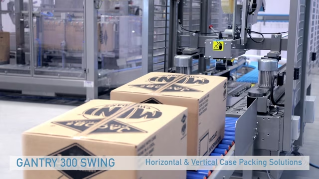 SAS GANTRY 300 SWING